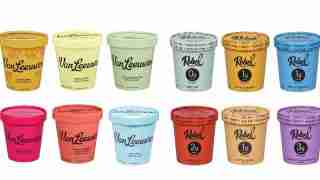 Row of Van Leeuwen ice cream cups in various colors with flavor names on the lids, arranged in two rows on a white background, vivid pastel tones on each container.